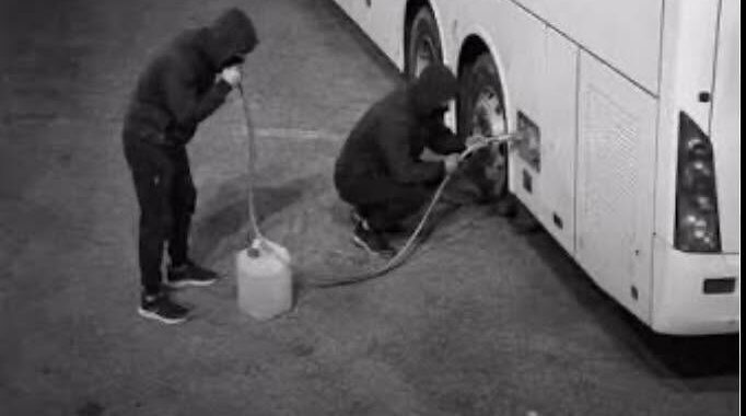 Australie: En voulant voler du carburant, il avale des matières fécales 723608253 122136995499046417 4367809184440363793 n