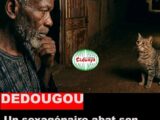 Dédougou: Un sexagénaire abat son frère croyant que c'était un chat whatsapp image 2026 07 02 at 11.14.47