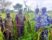 img 20260920 wa0030