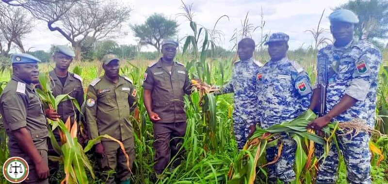 Production agricole dans les établissements pénitentiaires : le Commandant régional D. Evariste DALA dit TOE s’imprègne de la campagne agricole à Dédougou et Diébougou img 20260920 wa0030