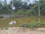 img 20260921 wa0009