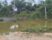 img 20260921 wa0009