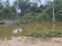 img 20260921 wa0009