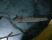 img 20260927 wa0006