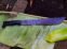img 20260929 wa0031