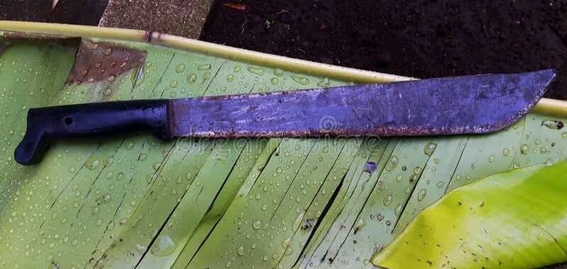 Côte d’Ivoire : Un jeune planteur meurt après des coups de machette portés par son frère img 20260929 wa0031