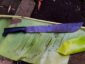 img 20260929 wa0031
