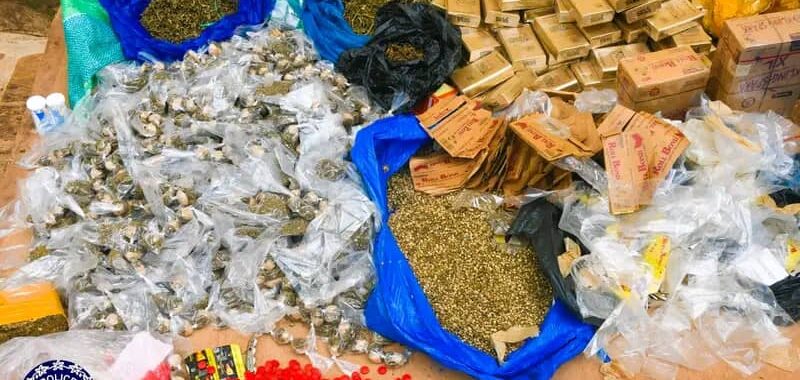 Ouagadougou : La Police Nationale saisit près de 86 kilogrammes de cannabis img 20260929 wa0034