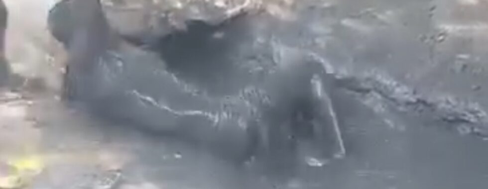 Tchad : Il confond un caniveau avec une piscine après avoir consommé de la drogue img 20260923 060807 248