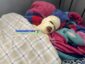 img 20261011 wa0015