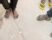 img 20261017 wa0000