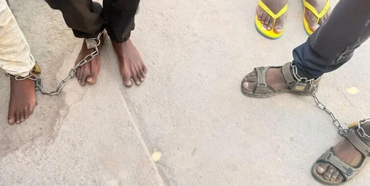 Afrique du Sud : Des patients enchaînés ont été secourus d'un centre de désintoxication illégal img 20261017 wa0000