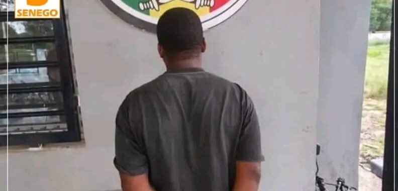 Sénégal : Un boutiquier piégeait des élèves de 13 à 17 ans avec des cadeaux, 5 victimes identifiées img 20261018 054942 381